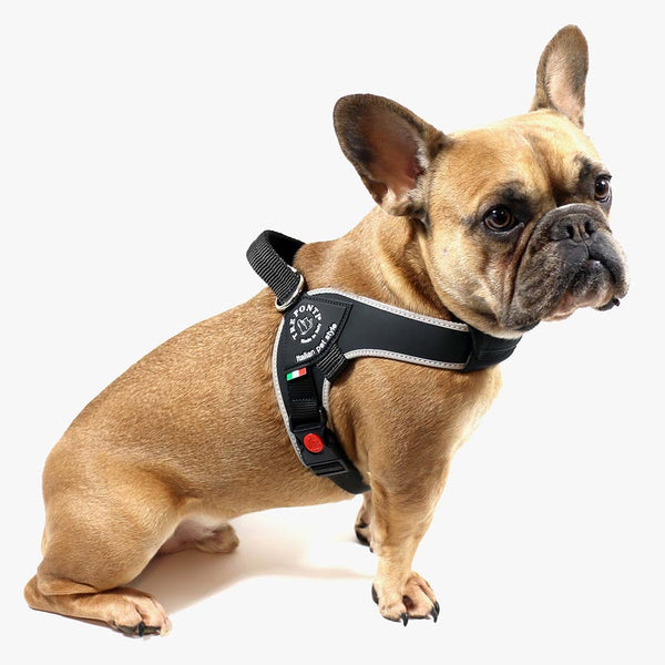 Tre Ponti Brio Harness Blue Decker s Dog Cat