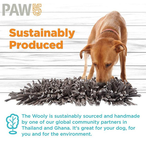 Paw5 wooly snuffle clearance mat