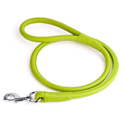 Dogline Round Leather Leash Green