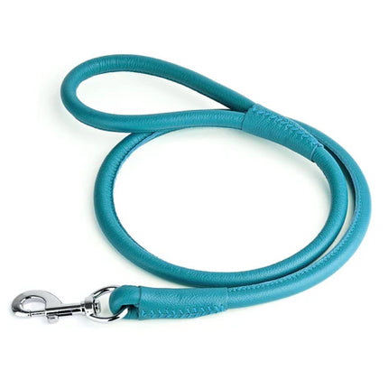 Dogline Round Leather Leash Teal