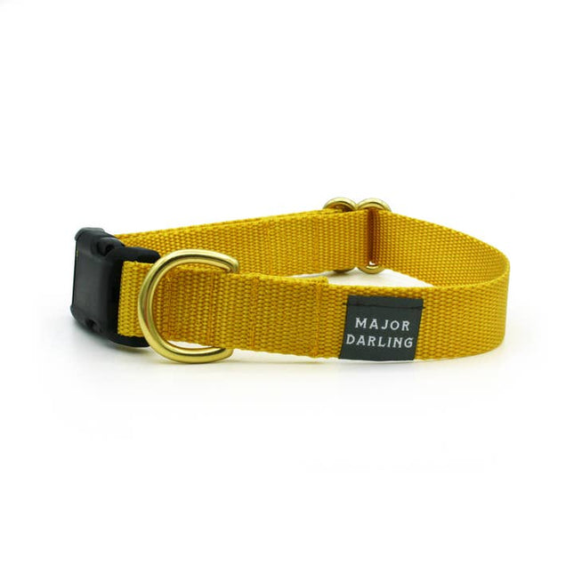 Major Darling Snap Collar - Dandelion