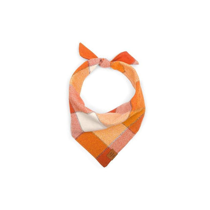 The Foggy Dog - Pumpkin Spice Dog Bandana