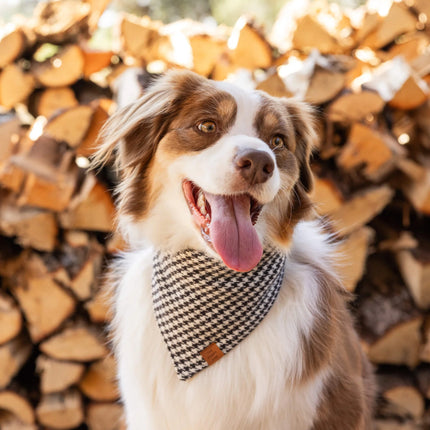 The Foggy Dog - Houndstooth Dog Bandana