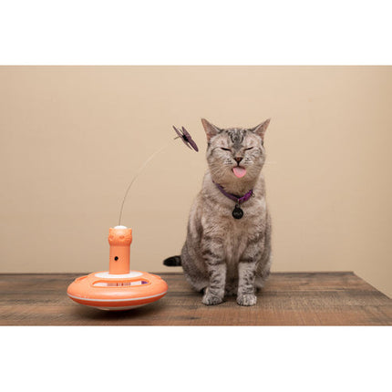 Nala Cat Motorized Butterfly Teazer