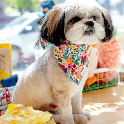 The Foggy Dog - Garden Party Dog Bandana