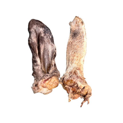 Ancestral Raw Nutrition - Dehydrated Lamb Ear