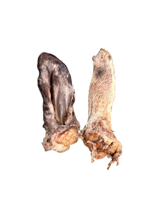 Ancestral Raw Nutrition - Dehydrated Lamb Ear