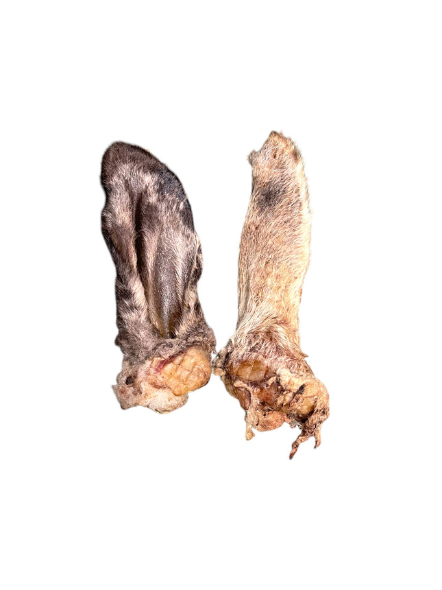 Ancestral Raw Nutrition - Dehydrated Lamb Ear