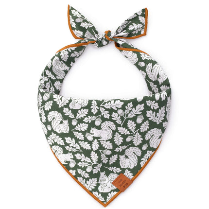 The Foggy Dog - Squirrel! Dog Bandana