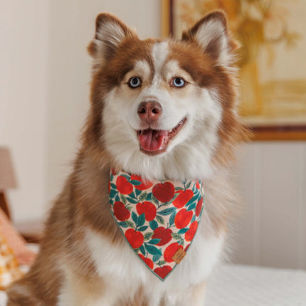 The Foggy Dog - Apple of My Eye Dog Bandana