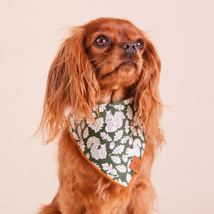 The Foggy Dog - Squirrel! Dog Bandana