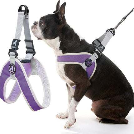 Gooby Simple Step-In Harness Purple