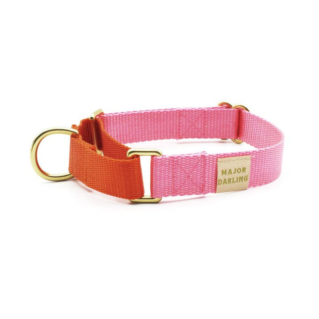 Major Darling Martingale Collar Pink with Orange