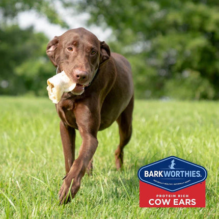 Barkworthies Cow Ear