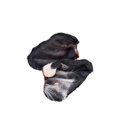 Ancestral Raw Nutrition - Dehydrated Beef Ear