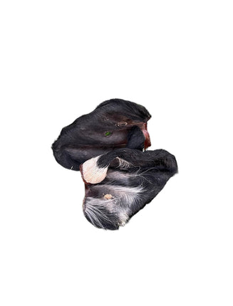 Ancestral Raw Nutrition - Dehydrated Beef Ear