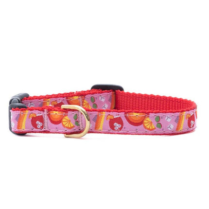 Up Country Small Breed Dog Collar - Spritz