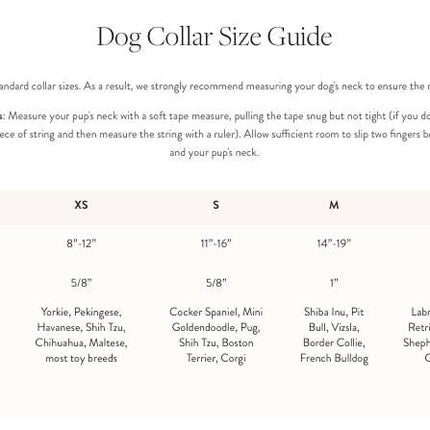 The Foggy Dog Collar - Catch of the Day