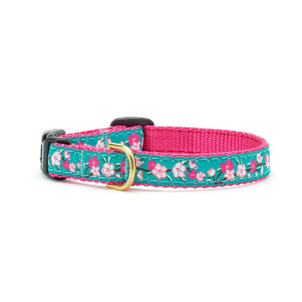 Up Country Small Breed Dog Collar - Cherry Blossoms