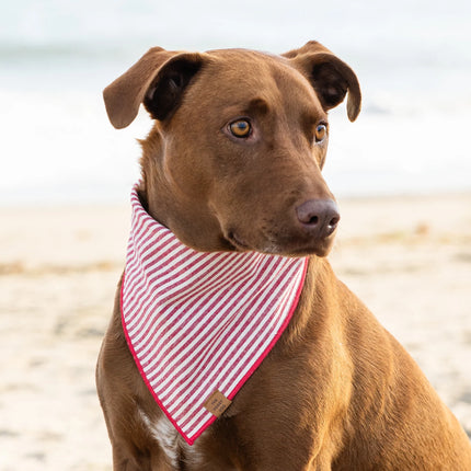 The Foggy Dog - Houndstooth Dog Bandana