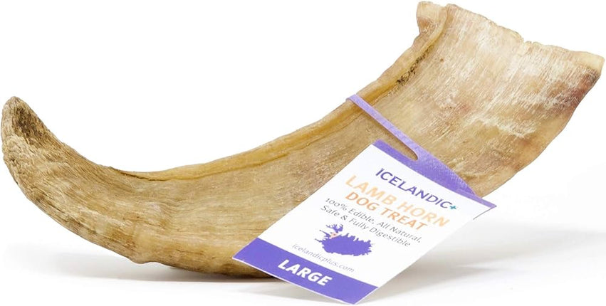 Icelandic Lamb Horn Chew