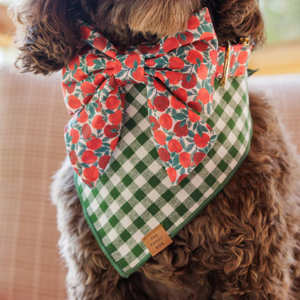 The Foggy Dog - Mini Gingham Hunter Green Dog Bandana