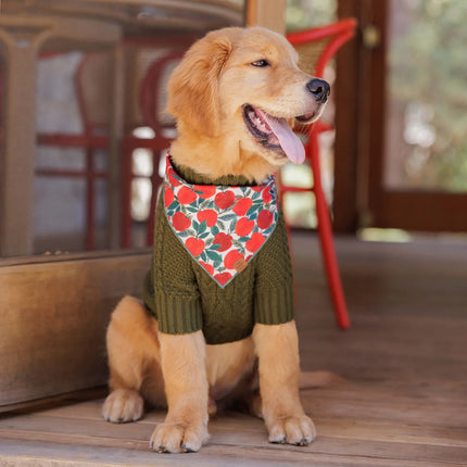 The Foggy Dog - Apple of My Eye Dog Bandana