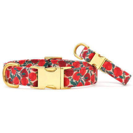 The Foggy Dog - Apple of My Eye Dog Collar