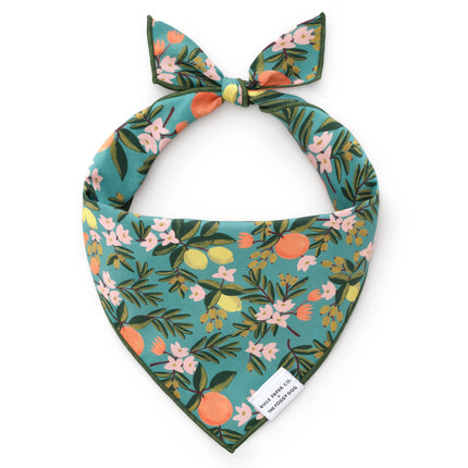 The Foggy Dog - Citrus Floral Dog Bandana