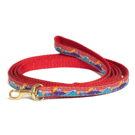 Up Country Small Breed Dog Lead - Ski and Surf