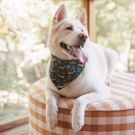 The Foggy Dog - Woodland Fox Dog Bandana