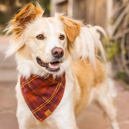 The Foggy Dog - Cider Plaid Dog Bandana