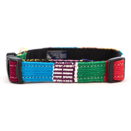 A Tail We Could Wag Collar - Traditional Multi