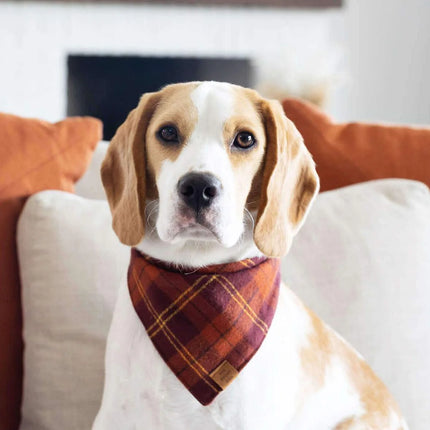 The Foggy Dog - Cider Plaid Dog Bandana