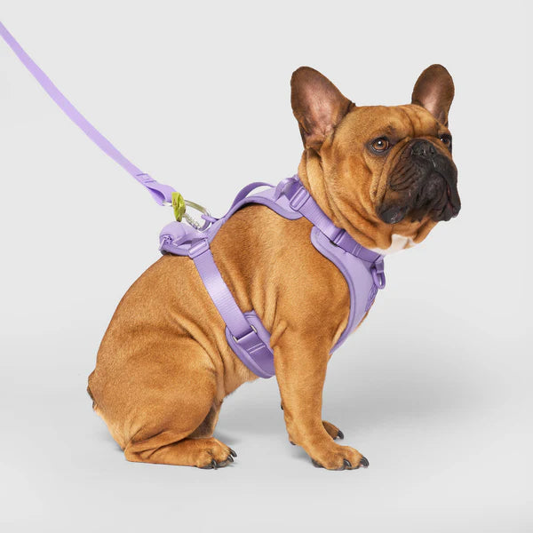 Canada Pooch Neoprene Everything Harness Lavender