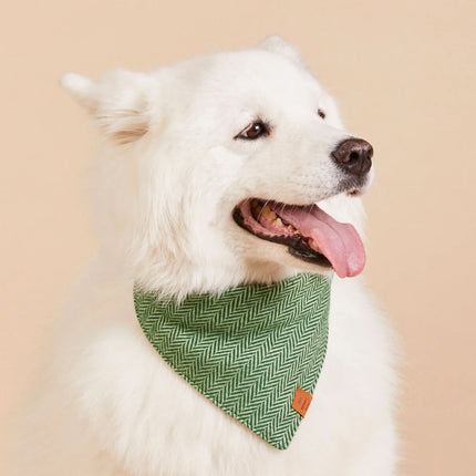 The Foggy Dog - Green Herringbone Dog Bandana