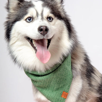 The Foggy Dog - Green Herringbone Dog Bandana