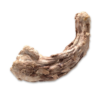 Bones & Co. Freeze-dried Turkey Neck