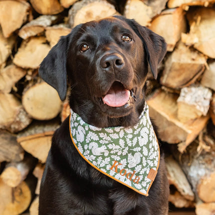 The Foggy Dog - Squirrel! Dog Bandana