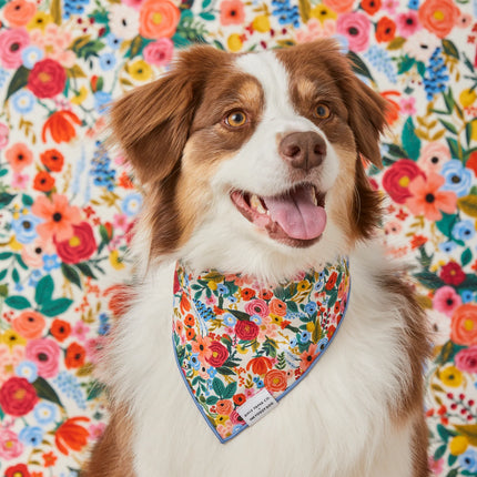 The Foggy Dog - Garden Party Dog Bandana