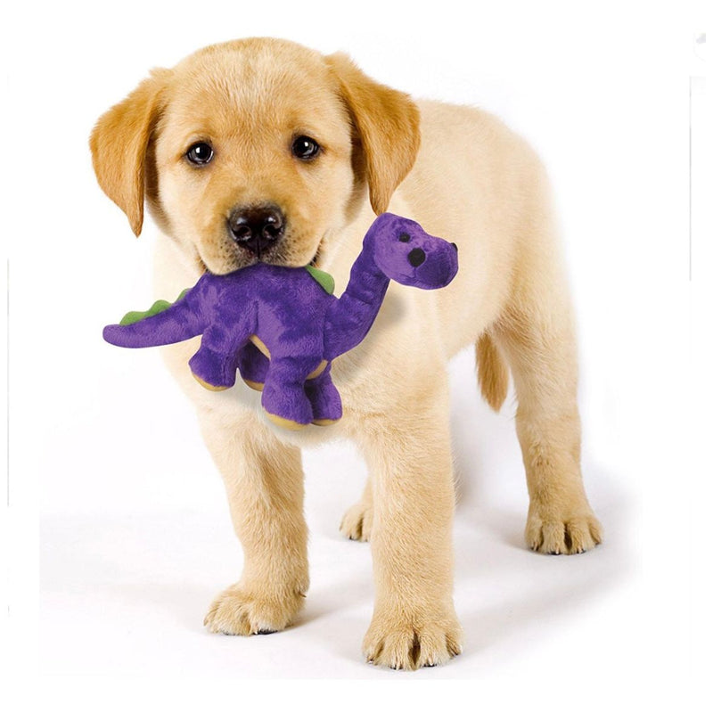 GoDog Dinosaur Bruto Purple Small Dog Toy – Decker's Dog + Cat