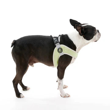 Gooby Simple Step-In Harness Green