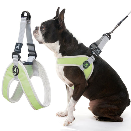 Gooby Simple Step-In Harness Green