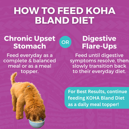 Koha Dog Bland Diets Beef & White Rice Pouch 12.5oz