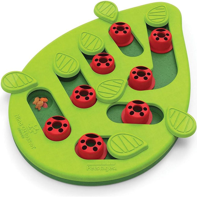 Petstages Buggin’ Out Puzzle & Play