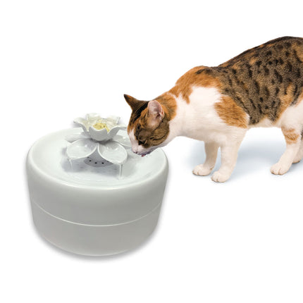 Pioneer Pet Drinking Fountain Magnolia