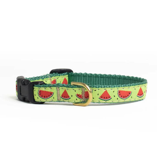 Up Country Small Breed Dog Collar - One in a Melon