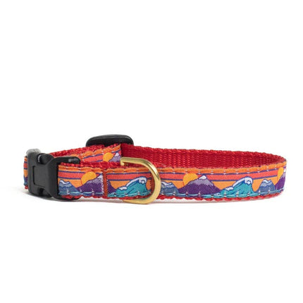 Up Country Small Breed Dog Collar - Ski and Surf