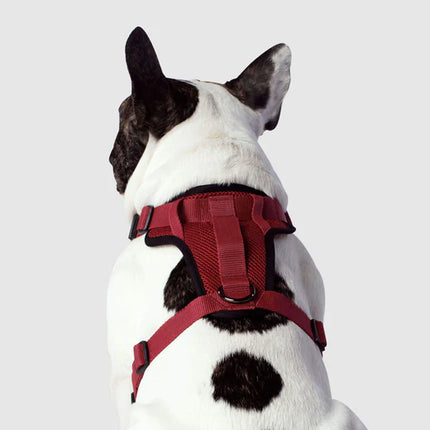 Canada Pooch Everything Harness Mesh - Red