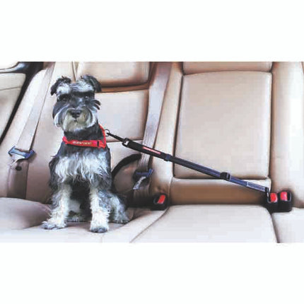 EzyDog Adjustable Car Restraint